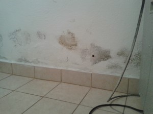 Putzschäden wegen feuchter Mauer - feuchte Wand