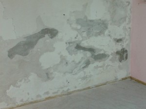 Mauerschäden - feuchte Wand